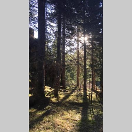 Gemuetliches Ferienhaus Am Waldrand Tröpolach المظهر الخارجي الصورة
